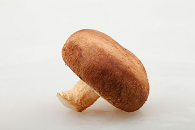 看黄神器：宝藏寻踪，趣味无限