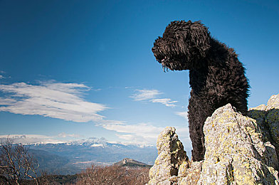石原莉奈漂亮人妻被强被老头：女神石原莉奈遇袭，真相揭秘-1