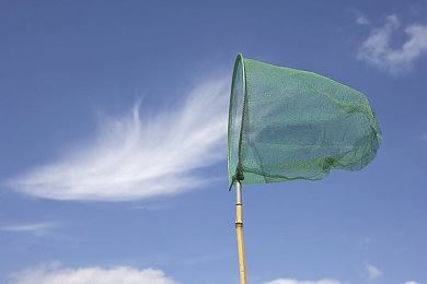 欧美艳星Nikki 办公室：艳星Nikki职场日常曝光-1