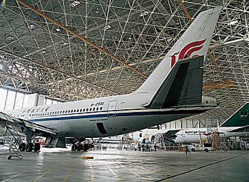 浓密ass多毛潘金莲：潘金莲传奇：古代美人新演绎-1