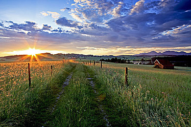 黄色软件app大全免费：免费软件大盘点，手机生活更精彩-1