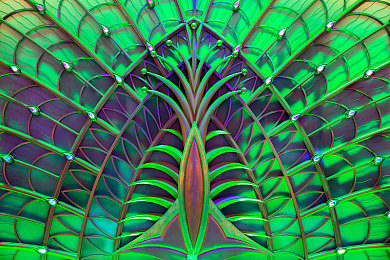 憋尿计划表：科学排尿，健康生活新秘籍