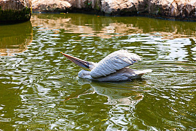 男生操女生的软件：网传“辣眼”软件引热议，青少年网络道德谁来守护？