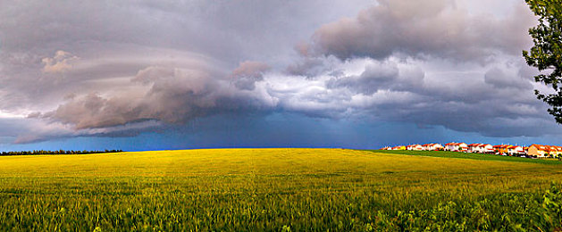 黑料不打烊 吃瓜曝光：明星绯闻背后的真相与隐忧-2