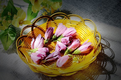 ▇榴莲视频▇在线观看入口：游戏视频盛宴，榴莲平台来袭-1