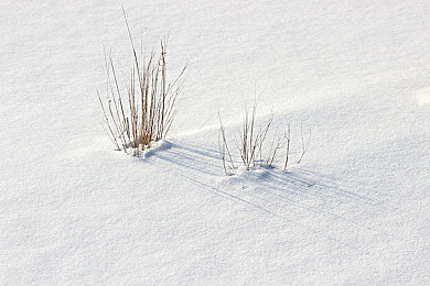 60分钟上大床：快速生活新潮流，60分钟大床变高效-1
