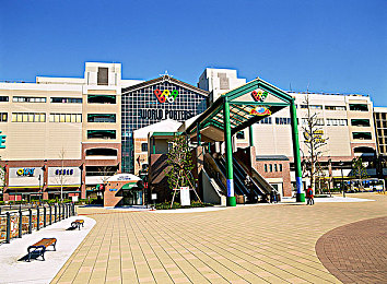 天天操天天做天天干：运动秘籍：打造健康生活，每日一步！