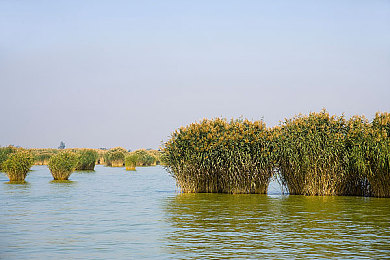 动漫撕开内衣 吸奶头：二次元游戏引热议，尺度大胆引争议-1