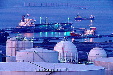 99热热99：数字潮流揭秘：网络热语“99热热99”背后的魅力-1