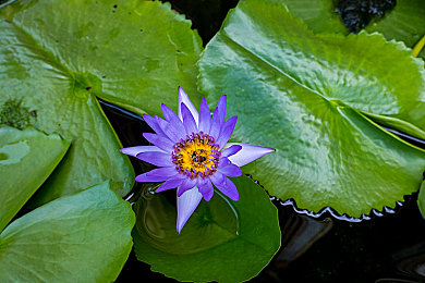 课代表趴下让我捅：校园暴力惊悚瞬间：推倒课代表喊“捅”-3