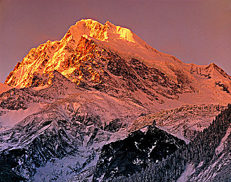 甘宇被旅行者咬出乳液:游戏奇遇:乳液之谜引发玩家遐想-1