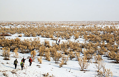 亲子乱AⅤ一区二区三区:网络严打,守护青春净土-2
