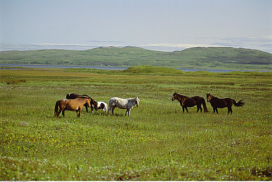 别揉我胸 啊 嗯出水了：奇幻冒险引热议，游戏《水之诱惑》成焦点-3