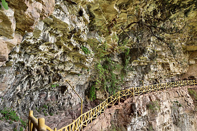 女被 c 扒衣服种草莓软件:奇幻农场,趣味无限,草莓种植大挑战-1