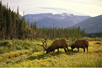 父女情深mv陈德明版剧情介绍:父女情动,泪目瞬间-3