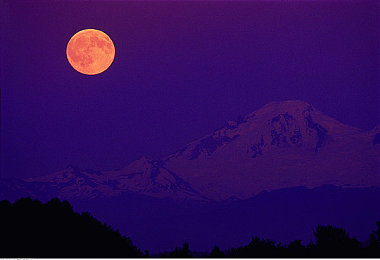 张丽大战黑人evelynlin:电竞巅峰对决,国手力克黑人强敌-2