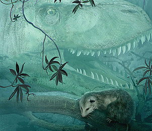 被黑人猛烈做到抽搐：街头冲突惊心，种族歧视再引关注