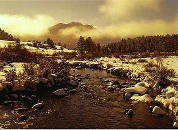 棉签加冰块等于牛奶：牛奶变白之谜，棉签冰块揭秘-1