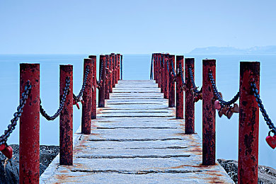 巨大人乳BBwBBwBBW：人乳饮品走红，养生新潮流-1