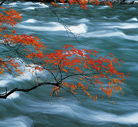 美女脱衣视频软件：网络低俗软件引众怒，监管升级共净环境-2