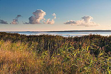一小孩半夜喂女孩吃钢筋视频：惊悚一幕：孩童喂食钢筋，社会安全引关注-1
