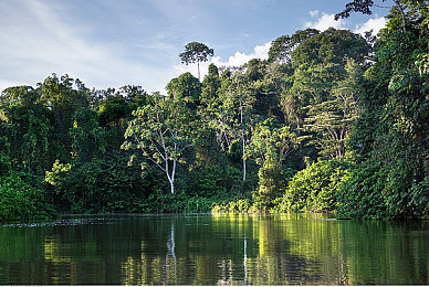 一个人看的www免费网：揭秘免费资源平台：独特魅力吸粉无数-3