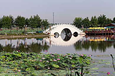 憋尿计划表(魔鬼版)计划表-1