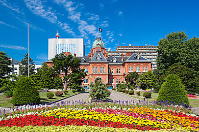 老卫淑蓉厨房激情：烹饪达人秀厨艺，厨房成为欢乐源泉-2