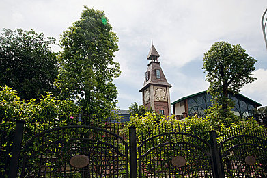 丁香五月五月婷婷：网络热词背后的年轻心态