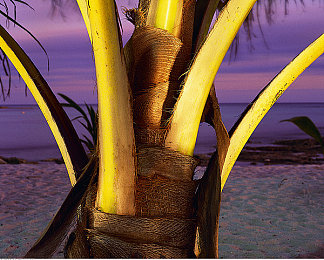 色秘 乱码一区二区三区在：乱码新体验，探索乐趣多-2