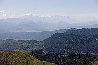 污污的app：网络毒瘤曝光，揭秘“污污app”陷阱-3