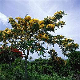 91果冻传媒女演员排名：娱乐圈新生代风潮涌现-2