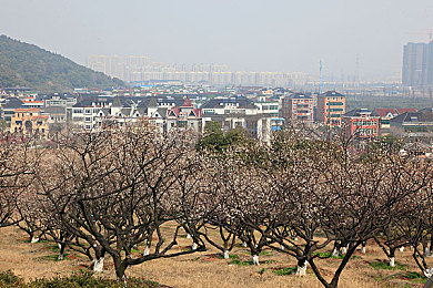 男人和女人在一起肌肌对肌肌：亲密肌肤接触：揭秘男女间神奇的互动秘密-2