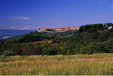 天天添天天干：游戏新潮流，添砖加瓦乐趣多-1