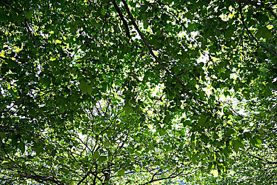 戴尿道塞憋尿训练表：憋尿游戏新玩法，健康生活新选择-2