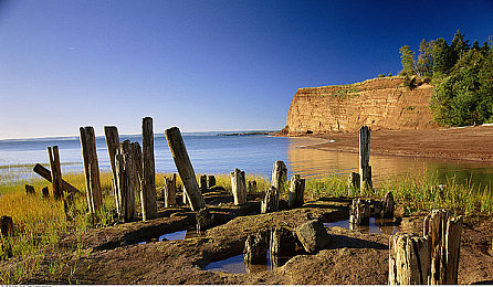 黑料吃瓜另类稀缺专区：娱乐圈幕后揭秘，独家爆料等你来探-3