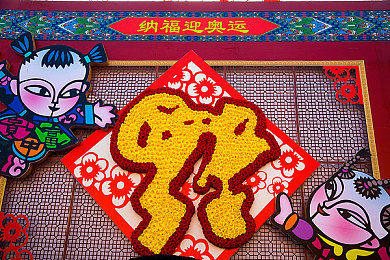 国外岁拗女稀缺资源：老龄化隐忧：婚育观念大转变-3