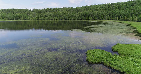 不知火舞和三个小男孩漫画：忍者舞者新漫画，友谊成长惊喜多-2