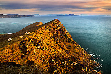 成人版快手：奇趣游戏吸睛，独特元素引关注-2