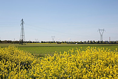 色吧综合：平台新功能：色吧信息更便捷-4