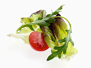 三个小男孩在森林公园猜数字漫画：森里童趣：数字游戏增友谊-1