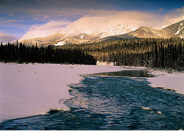 极品魔鬼身材女神啪啪精品：健身女神揭秘：魔鬼身材是这样炼成的-2