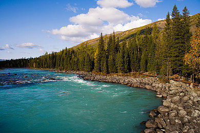 69人妻：惊人内幕：69位亲戚？家庭伦理大揭秘