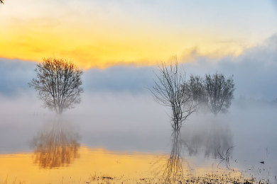 裸体男脱裤子脱个精光：裸男街头脱裤，道德警钟长鸣