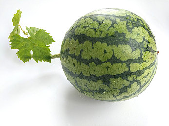 日本吃奶水护士:游戏新体验:护理婴儿挑战来袭-1