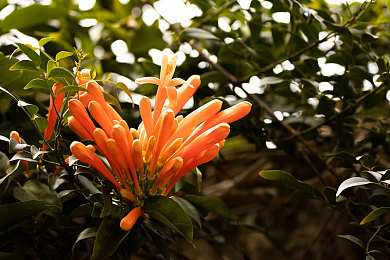 男生对女生做差App：趣味互动新应用，男女增进了解-2