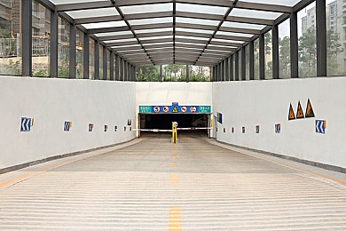 激战丛林珍妮原版:丛林宝藏冒险引期待-1