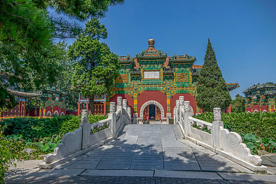 91豆花:豆花新宠,匠心独运引关注-2