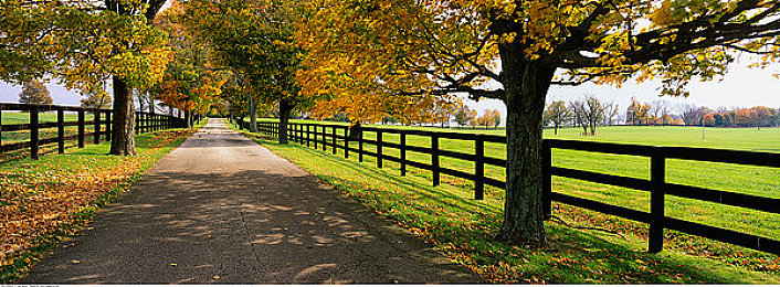 打扑克又疼又叫视频全版下载：趣味扑克声引热议，笑声满满引下载-1
