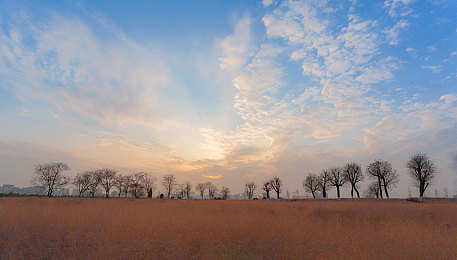 日本免费wwwxx:日免费资源热潮:揭秘全球用户狂热追捧之谜-2